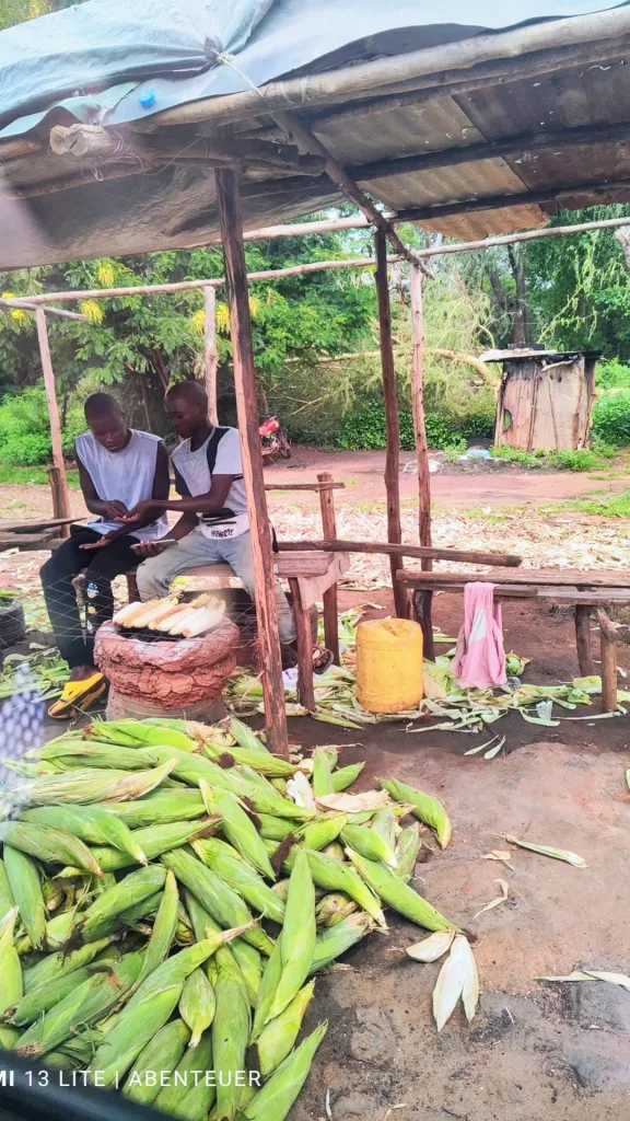 Malindi, Familienurlaub in Kenia, Mombasa Road Bild 2